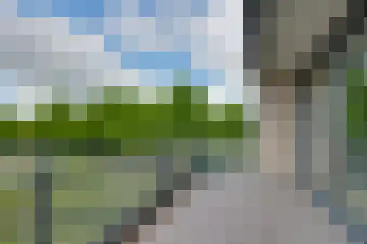 Barckemalaan 58 Tolbert thumbnail 13