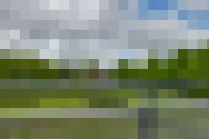 Barckemalaan 58 Tolbert thumbnail 14