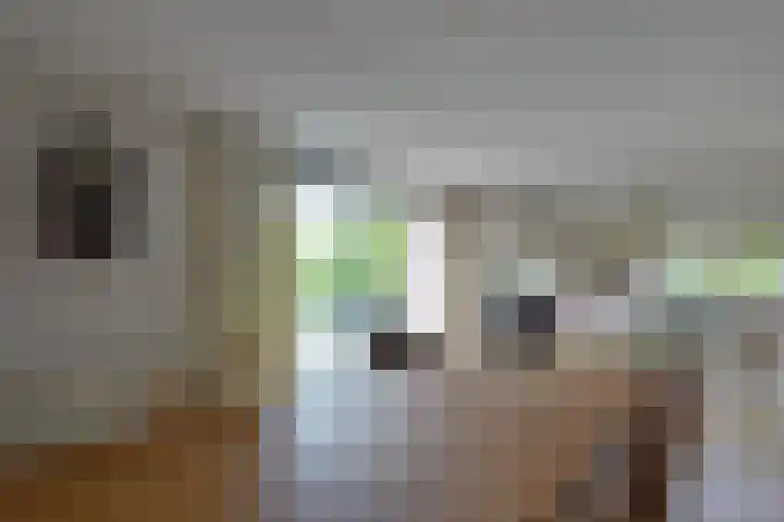Barckemalaan 58 Tolbert thumbnail 15