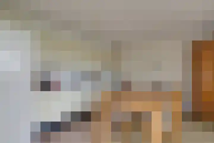 Barckemalaan 58 Tolbert thumbnail 17