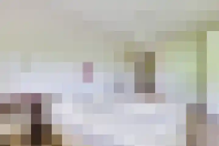 Barckemalaan 58 Tolbert thumbnail 21
