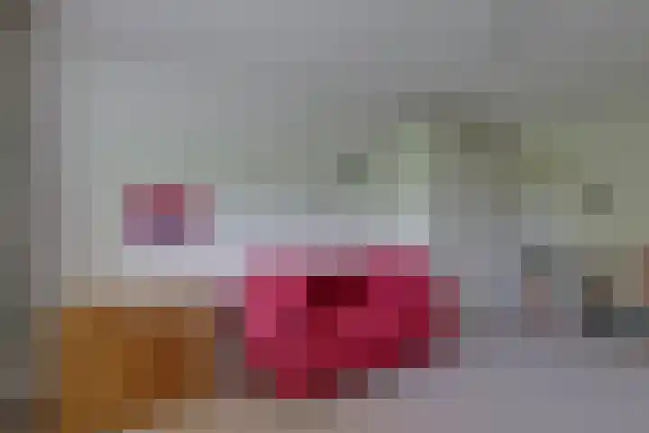 Barckemalaan 58 Tolbert thumbnail 23