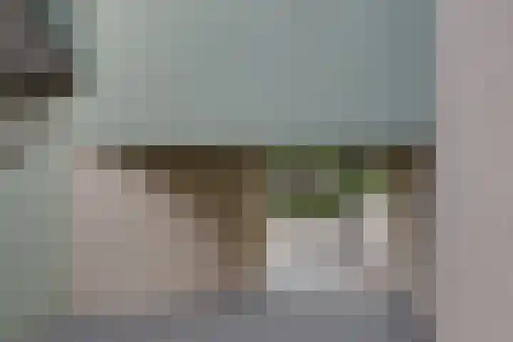 Barckemalaan 58 Tolbert thumbnail 32