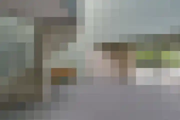 Barckemalaan 58 Tolbert thumbnail 33
