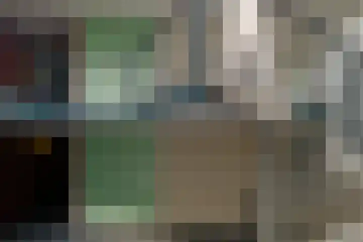 Barckemalaan 58 Tolbert thumbnail 35
