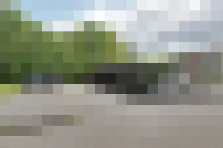Barckemalaan 58 Tolbert thumbnail 36