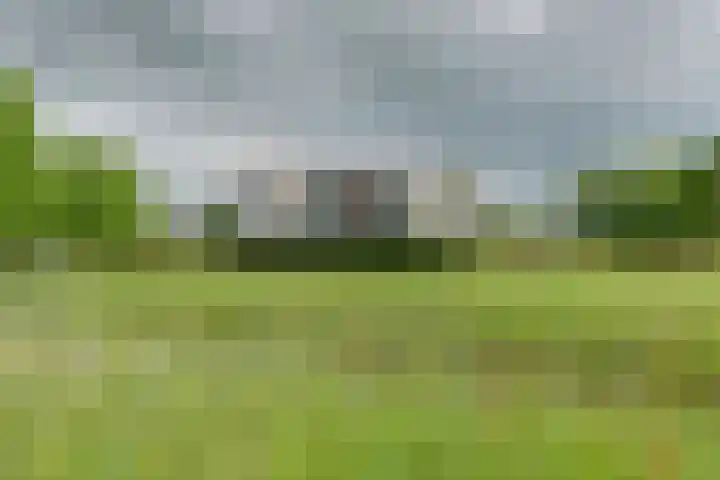 Barckemalaan 58 Tolbert thumbnail 4