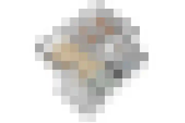 Barckemalaan 58 Tolbert thumbnail 42