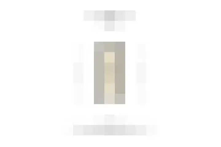 Barckemalaan 58 Tolbert thumbnail 43