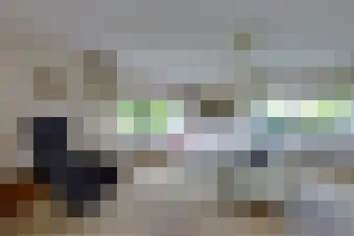 Barckemalaan 58 Tolbert thumbnail 5