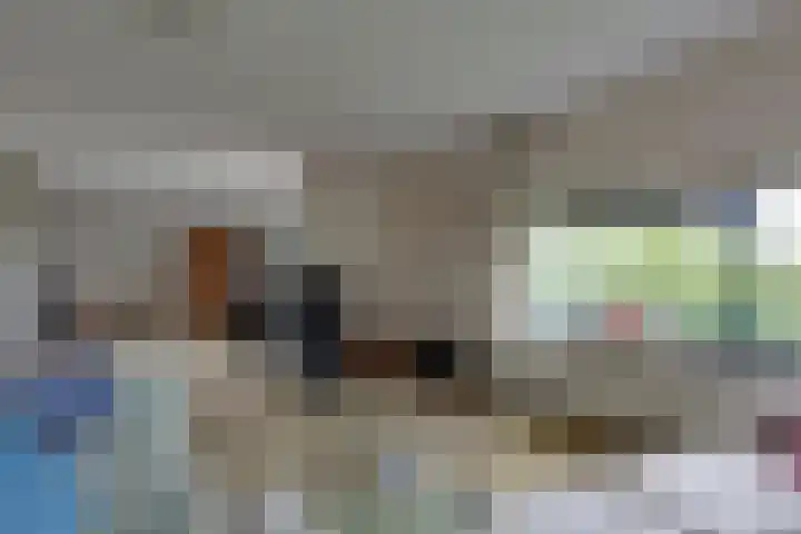 Barckemalaan 58 Tolbert thumbnail 7