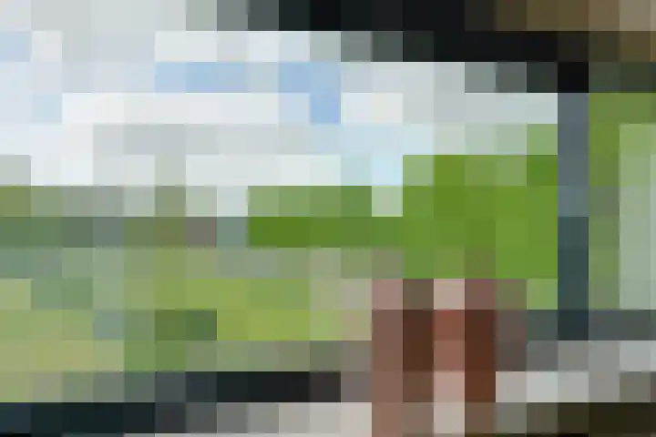 Barckemalaan 58 Tolbert thumbnail 8