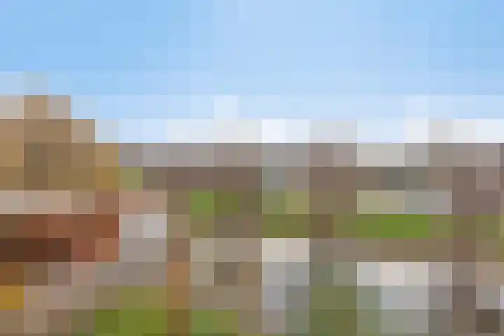 Bardolinogaard 11 Spijkenisse thumbnail 10