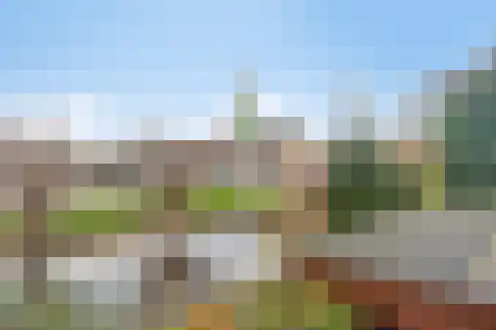 Bardolinogaard 11 Spijkenisse thumbnail 11
