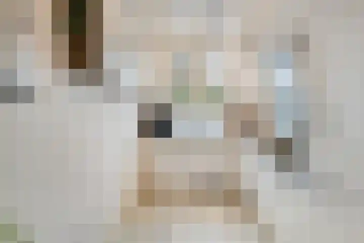 Bardolinogaard 11 Spijkenisse thumbnail 8
