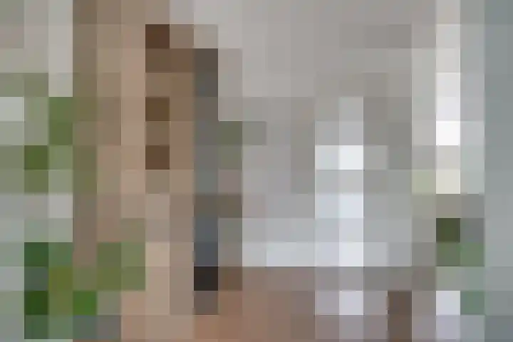 Barenbroeklaan 27 Giesbeek thumbnail 11