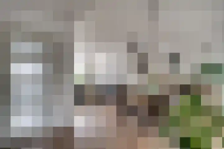 Barenbroeklaan 27 Giesbeek thumbnail 12