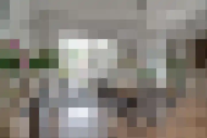 Barenbroeklaan 27 Giesbeek thumbnail 14