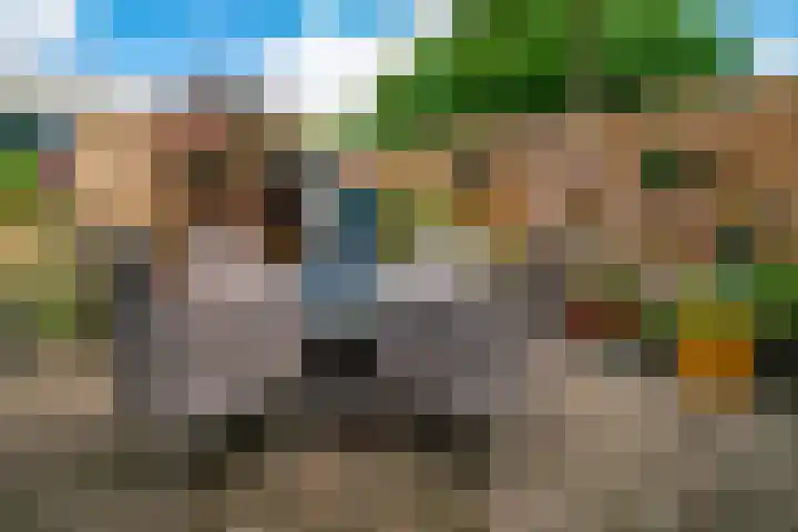 Barenbroeklaan 27 Giesbeek thumbnail 24