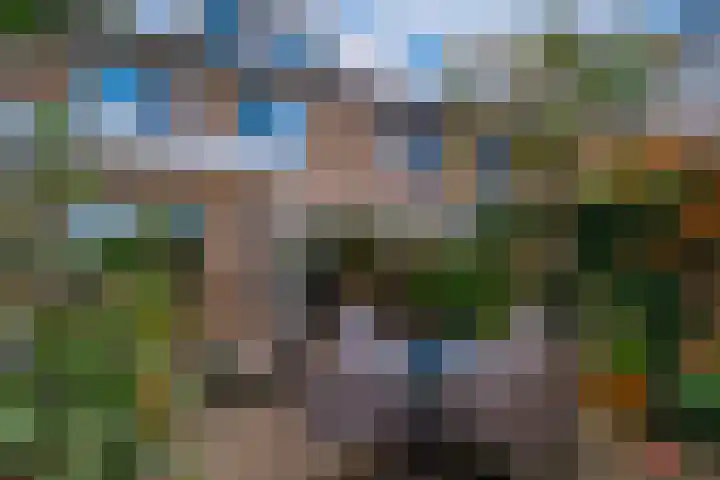 Barenbroeklaan 27 Giesbeek thumbnail 25