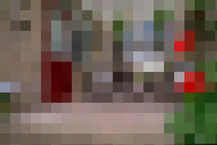 Barenbroeklaan 27 Giesbeek thumbnail 27