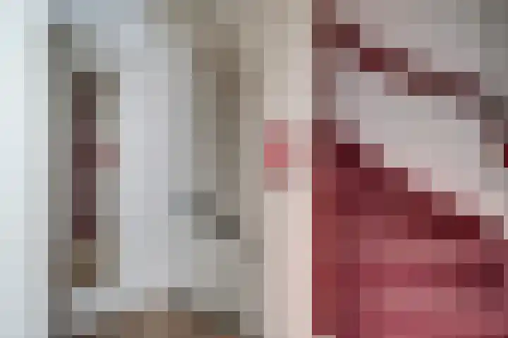 Barenbroeklaan 27 Giesbeek thumbnail 28