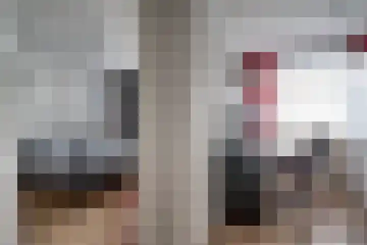 Barenbroeklaan 27 Giesbeek thumbnail 31