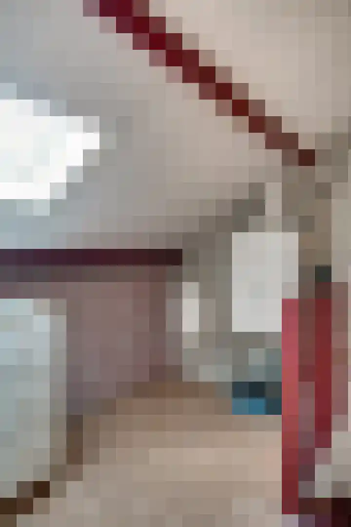Barenbroeklaan 27 Giesbeek thumbnail 44