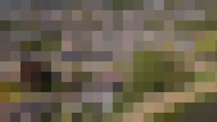 Barenbroeklaan 27 Giesbeek thumbnail 48