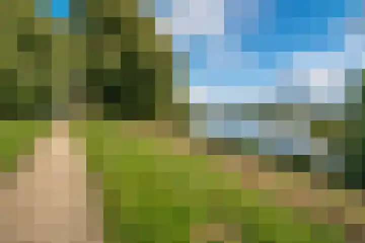 Barenbroeklaan 27 Giesbeek thumbnail 49