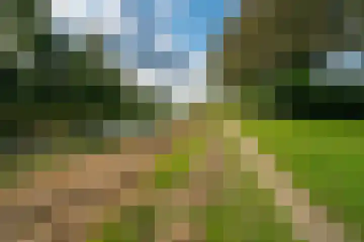 Barenbroeklaan 27 Giesbeek thumbnail 50