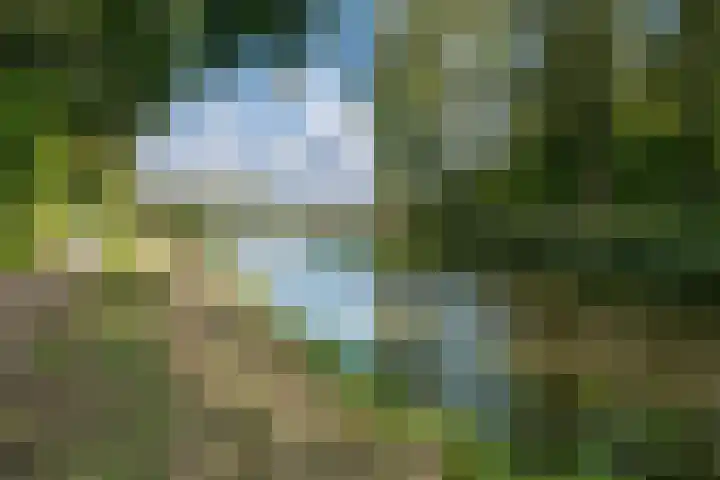 Barenbroeklaan 27 Giesbeek thumbnail 51