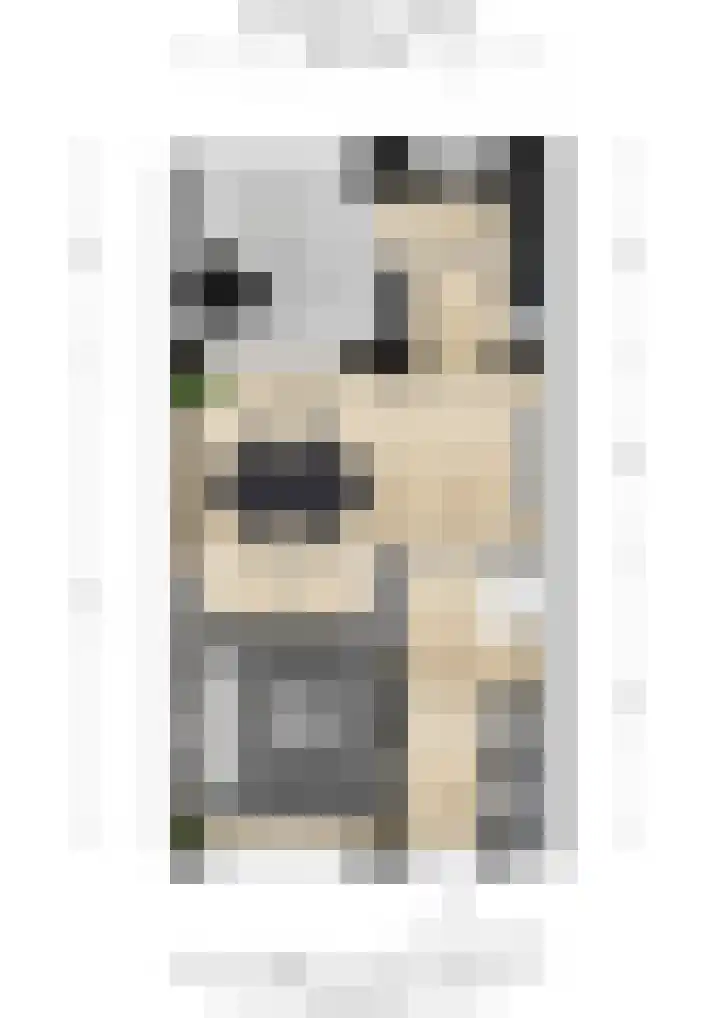 Barenbroeklaan 27 Giesbeek thumbnail 54