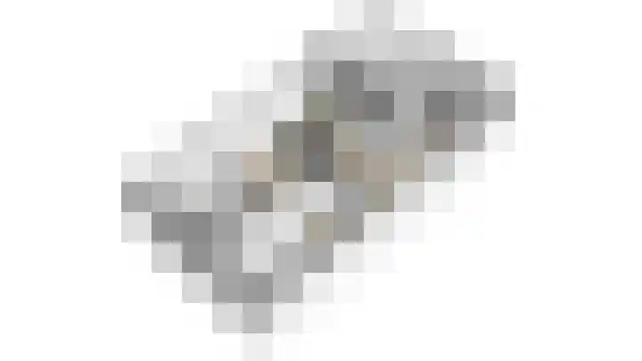 Barenbroeklaan 27 Giesbeek thumbnail 55