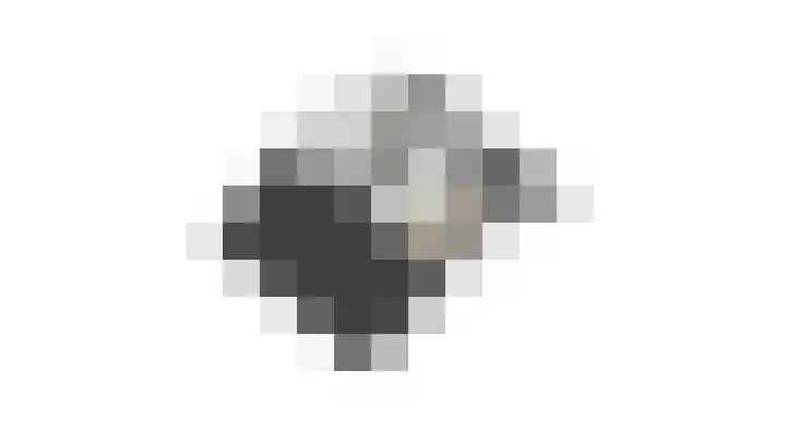 Barenbroeklaan 27 Giesbeek thumbnail 59