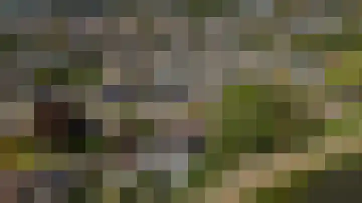 Barenbroeklaan 27 Giesbeek thumbnail 6