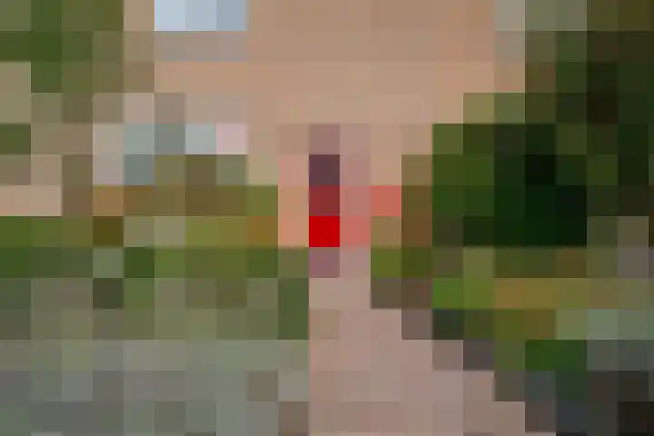 Barenbroeklaan 27 Giesbeek thumbnail 7
