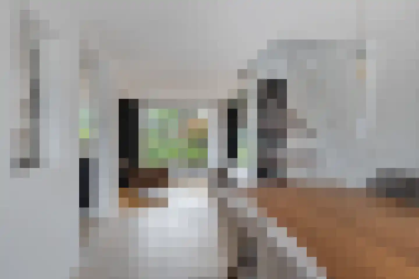 Barenbroeklaan 36 Giesbeek thumbnail 24
