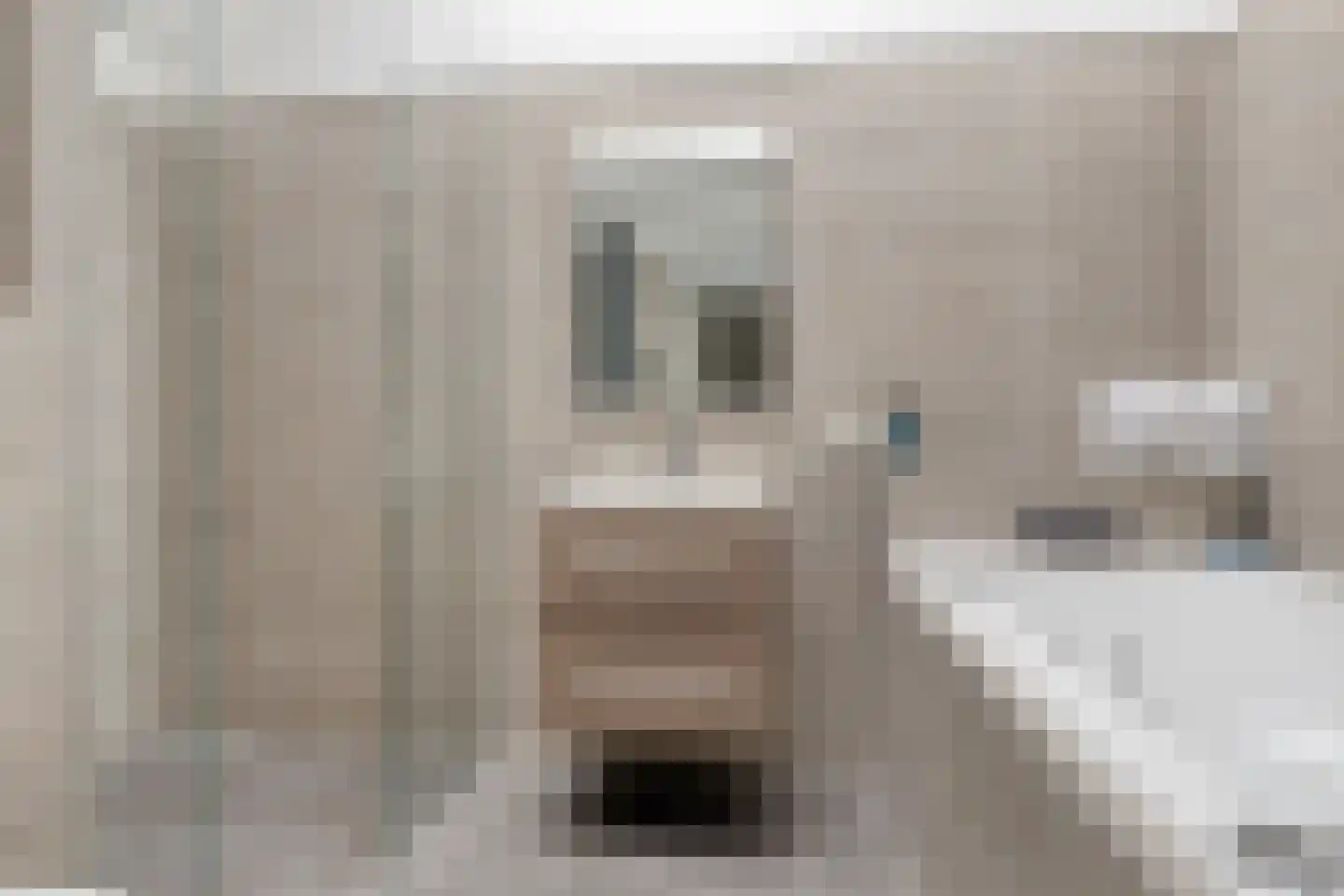 Barenbroeklaan 36 Giesbeek thumbnail 4