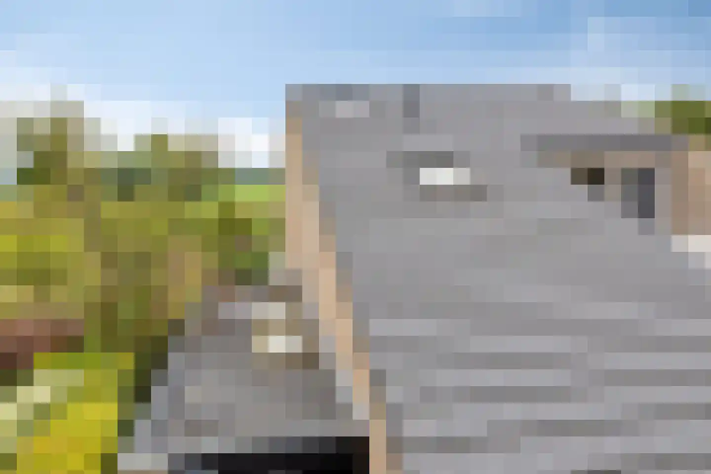 Barenbroeklaan 36 Giesbeek thumbnail 42