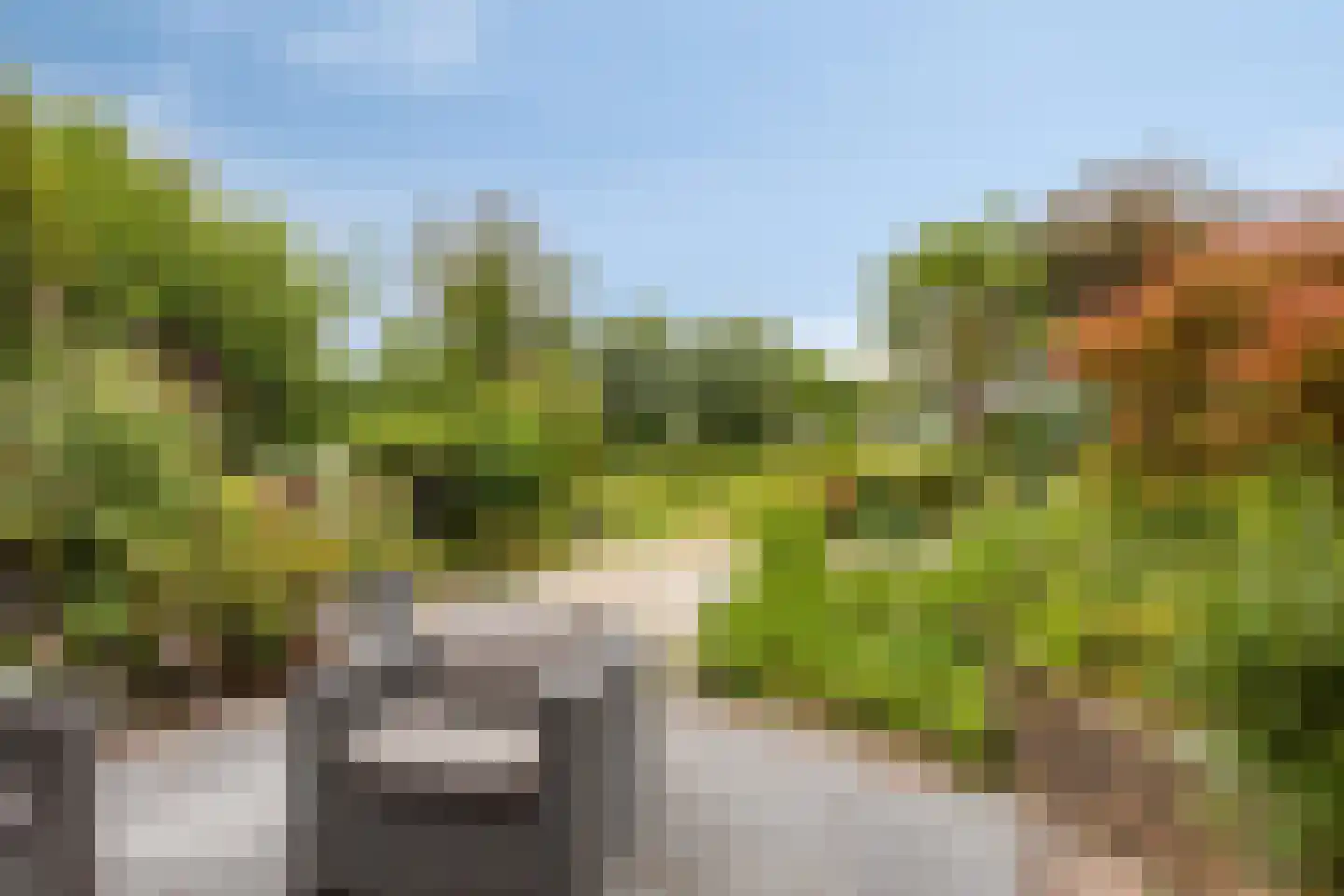 Barenbroeklaan 36 Giesbeek thumbnail 45