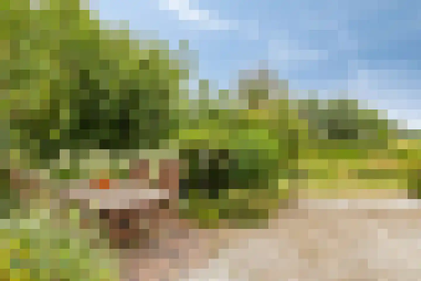 Barenbroeklaan 36 Giesbeek thumbnail 46