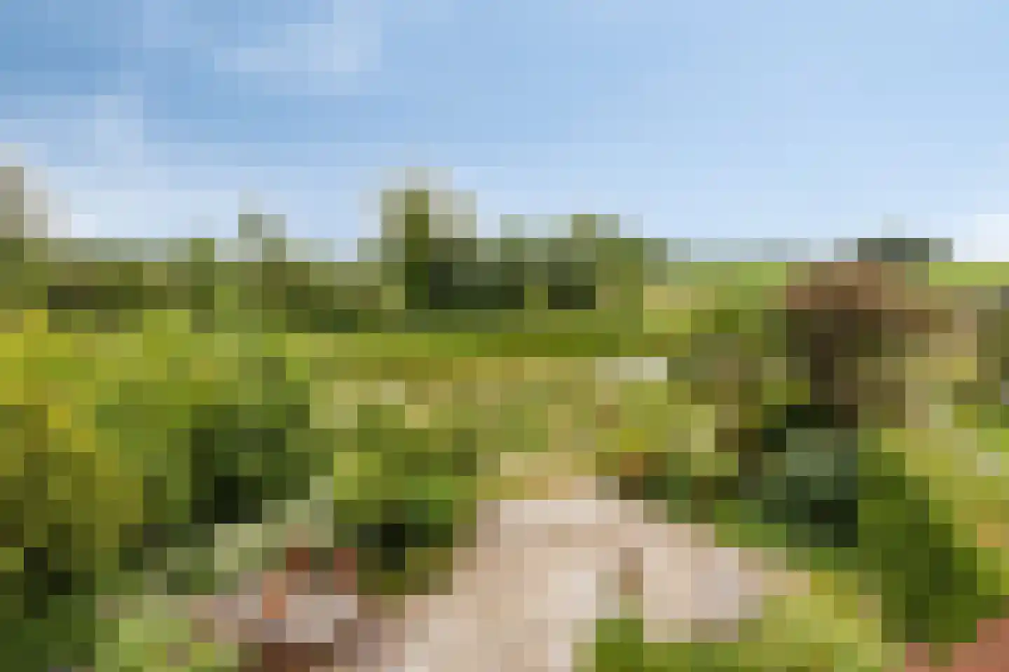 Barenbroeklaan 36 Giesbeek thumbnail 47