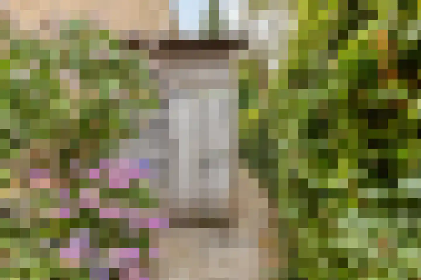 Barenbroeklaan 36 Giesbeek thumbnail 48