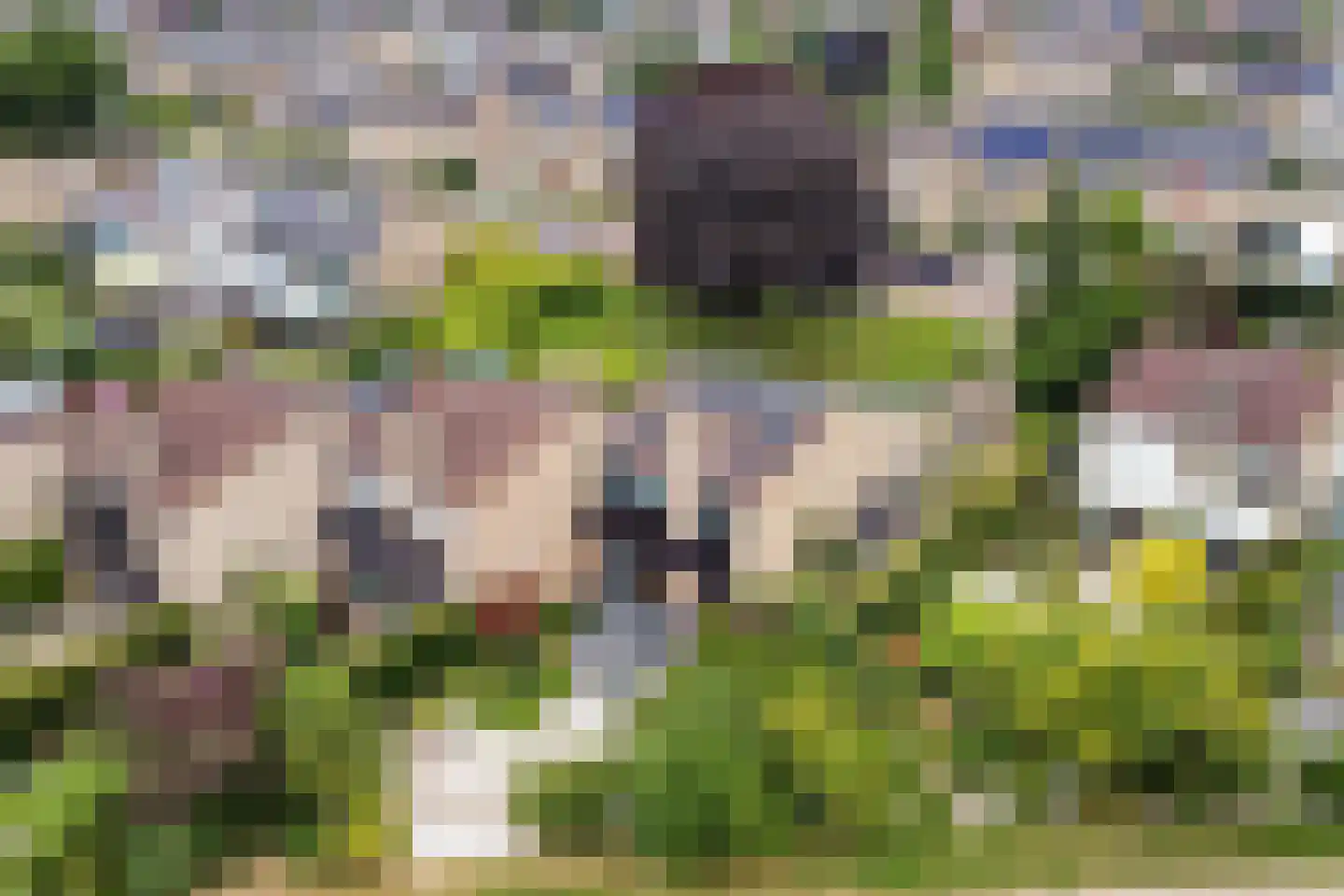 Barenbroeklaan 36 Giesbeek thumbnail 49