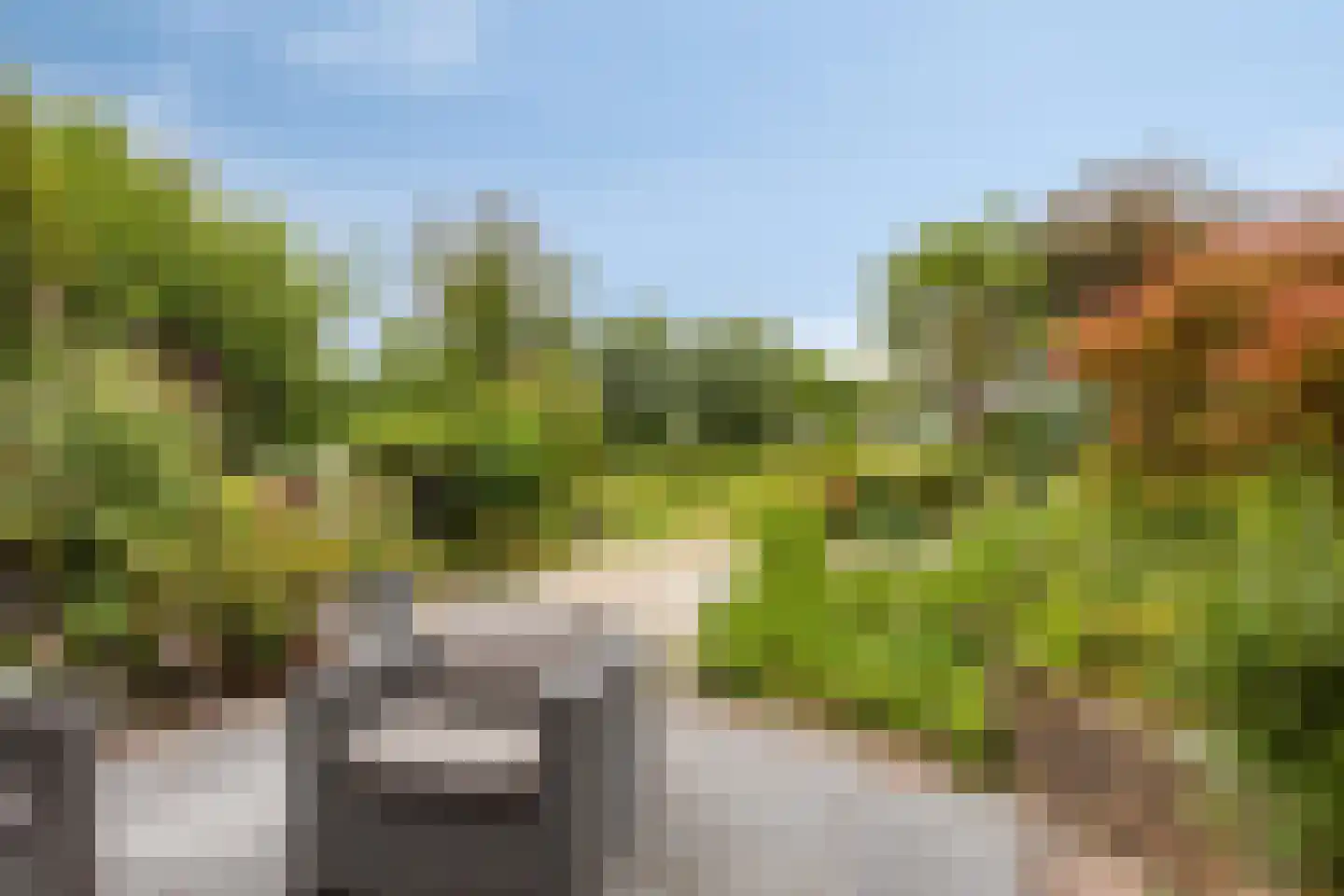 Barenbroeklaan 36 Giesbeek thumbnail 5