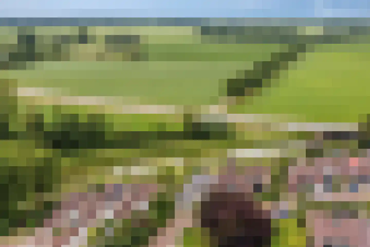 Barenbroeklaan 36 Giesbeek thumbnail 50