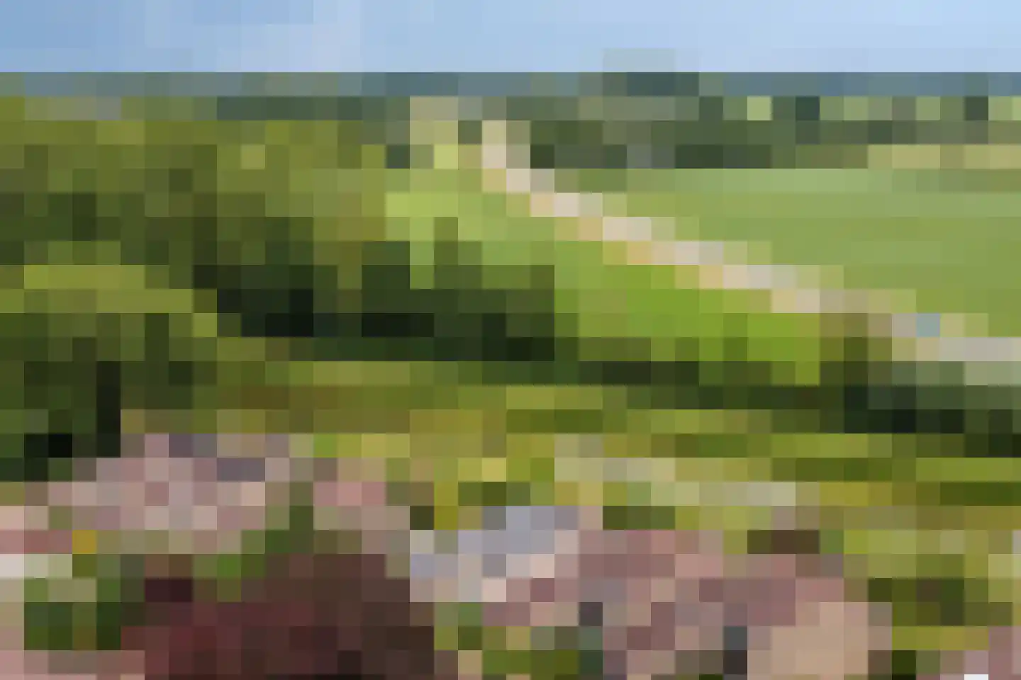 Barenbroeklaan 36 Giesbeek thumbnail 51