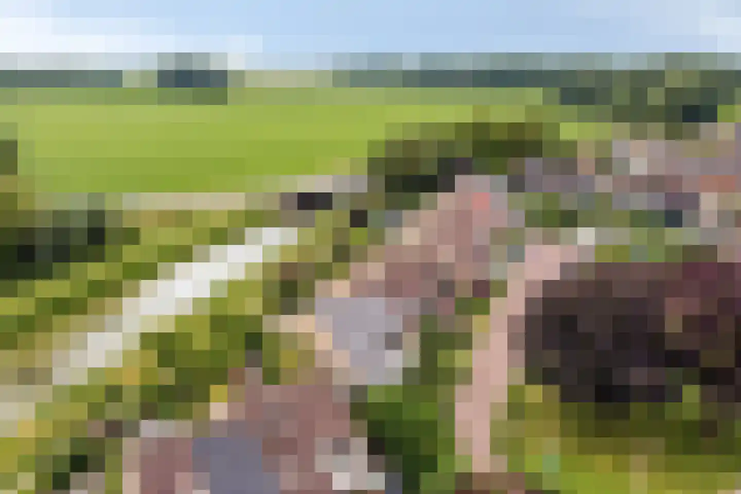 Barenbroeklaan 36 Giesbeek thumbnail 52