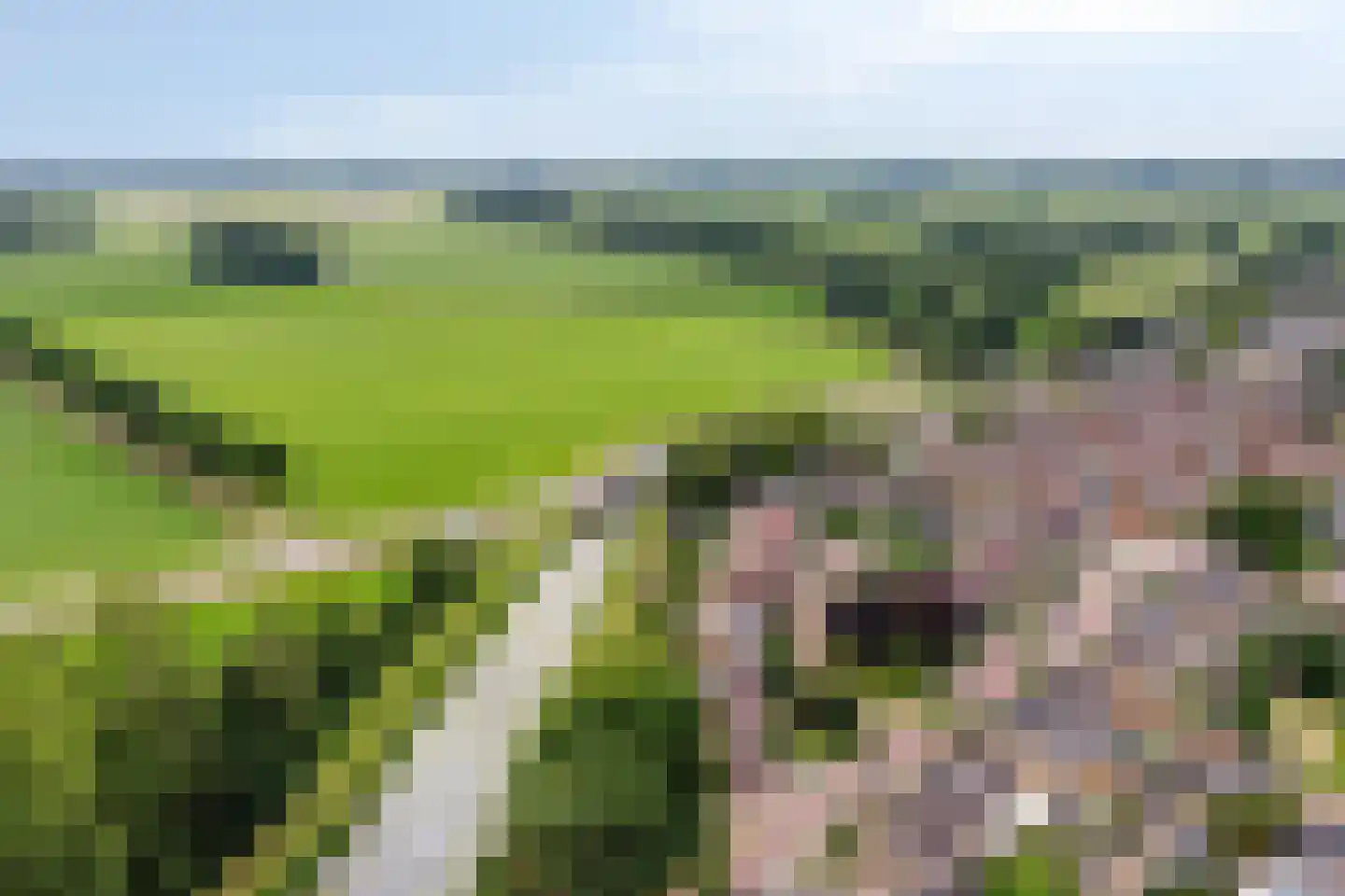 Barenbroeklaan 36 Giesbeek thumbnail 53